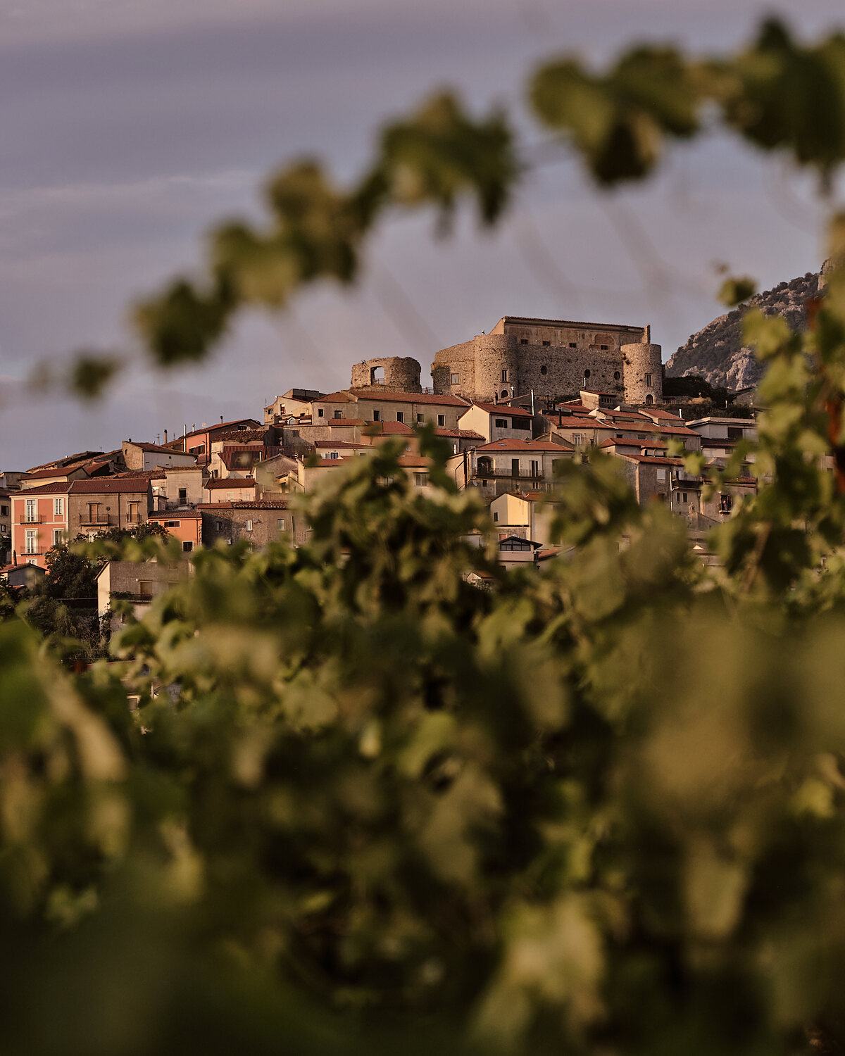 Postiglione visto da dentro il vigneto